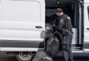 Project Eclipse results in $3.4M of illicit cannabis seized