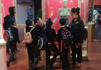 Ontario Science Centre returns with interactive fun