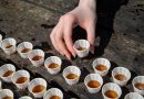 Sugarbush Maple Syrup Festival returns