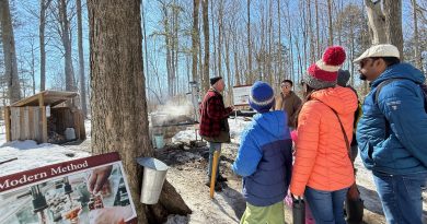 Sugarbush Maple Syrup Festival returns
