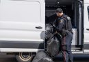 Project Eclipse results in $3.4M of illicit cannabis seized