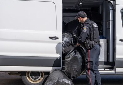 Project Eclipse results in $3.4M of illicit cannabis seized