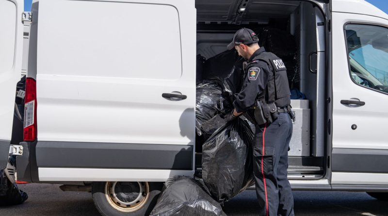 Project Eclipse results in $3.4M of illicit cannabis seized