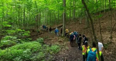 York Regional Forest walk examines invasive species