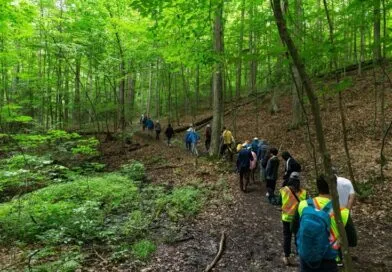 York Regional Forest walk examines invasive species