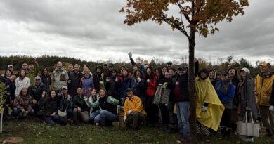 Stouffville gets green with TD Tree Days