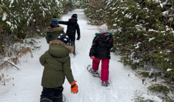 Discover nature at Bruce’s Mill Conservation Park